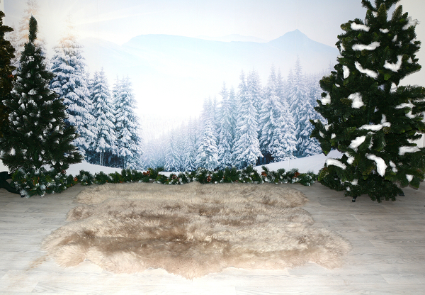 6er Lammfell Teppich Beige (öko)